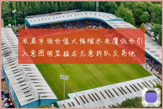 浓眉市场价值大幅缩水老鹰低价引入意图明显猛龙无意拆队交易他
