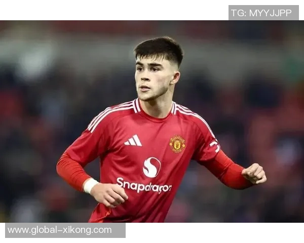 前埃弗顿CEO透露伊萨克伤愈时间但本赛季表现恐难如愿